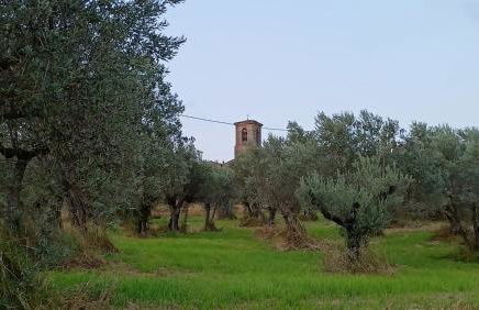 Suite Romantica Borgo di Castelleone di Deruta - Foto 29