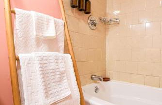 7even Clouds Éclair- Cozy basement nest near NE DC - Foto 7