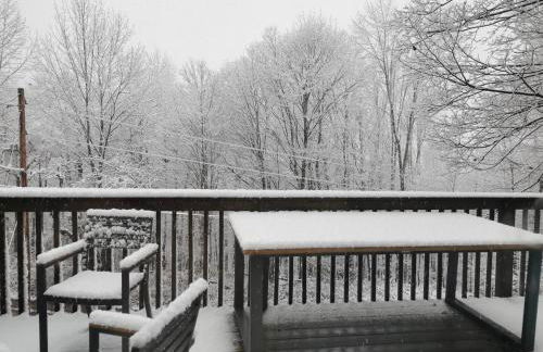 Fireplace Catskill Views Overlook Lake Cabin - Foto 21