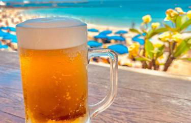 Villamartin apartment. Excellent location for Golfers, Cyclists and Hikers - Foto 32