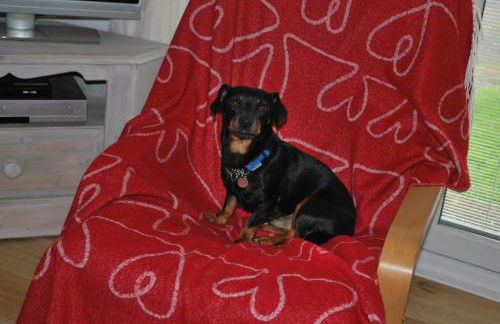 31 Laigh Isle - Foto 20