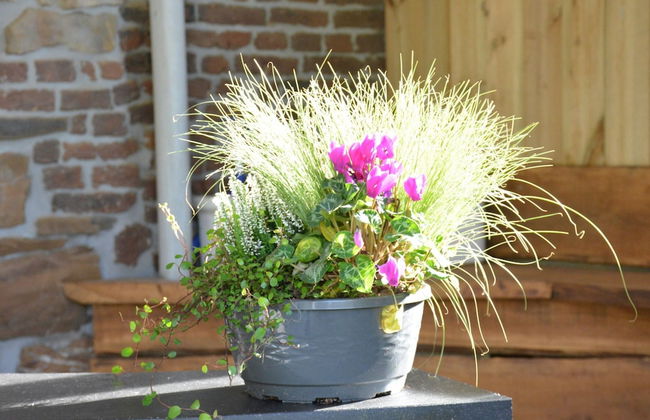 Group Villa With Sauna - Photo 34