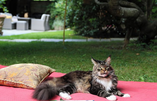 La casa Arancione - Foto 53