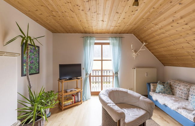 Alluring Apartment in Schonsee in the Forest - Photo 45