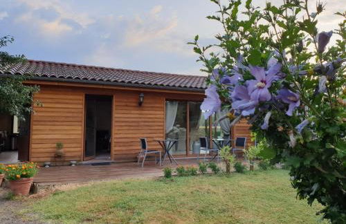 Great house- swimmingpool and jacuzzi -10km from Sarlat La Caneda - Foto 11