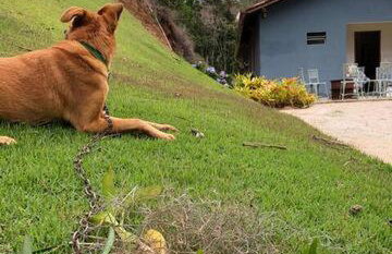 Casa Bourguignon - Foto 10