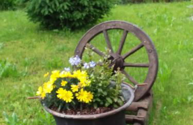 B & B SENTIERO VALTELLINA - Foto 20