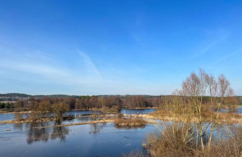 APARTAMENT CENTRUM - Foto 59