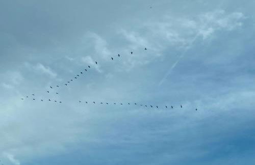 Ferienhaus Am Dombogen - BARRIEREFREI - 2 Schlafzimmer ab 3 Personen - mindestens 3 Nächte Aufenthalt - Foto 57