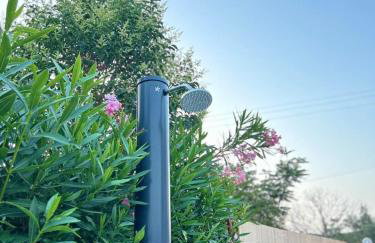 Κτήμα Καρνέση - Photo 22