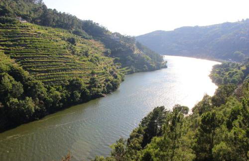 Peaceful villa in São Martinho de Mouros with private pool - Foto 28