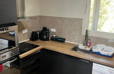 Appartement, vue sur l’étang, proche aéroport. - Foto 28