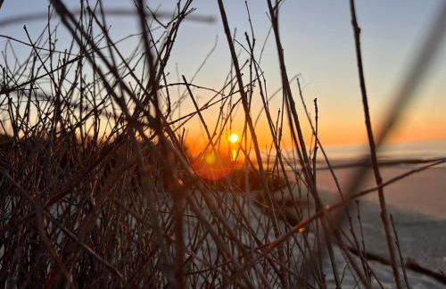 Strandschönheit - Foto 52