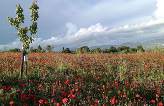 Belvilla by OYO Chalet Graffi - Foto 28