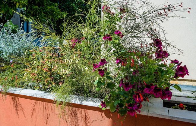 Apartment Veronika - Photo 38