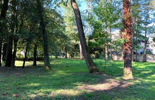 Rives Occitanes, Appartement Toulouse Purpan - Photo 35