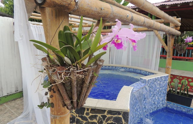 Entre Guaduas - Photo 23