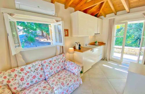 Paleopetres K-Six - Premium Suite - Kalami - - Foto 4