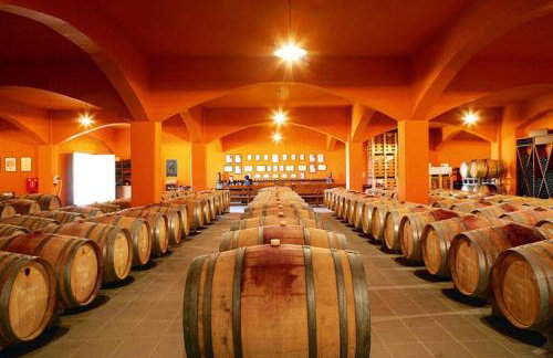 ΒΙΟΚΛΙΜΑΤΙΚΟ ΗΛΙΟΠΕΤΡΟΣΠΙΤΟ στην ΑΡΧΑΙΑ ΒΟΚΕΡΙΑ - Photo 38