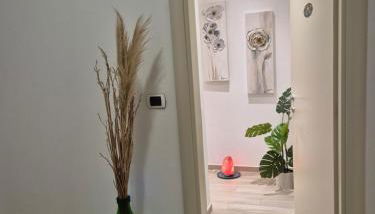 Il Leone Rosso over the hills of the Trabocchi - Foto 3