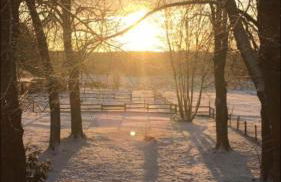 Hof Lillge - Foto 12