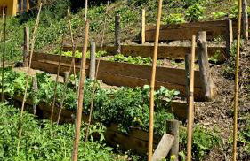 Hotel Rural Valle de Cuaña - Foto 16