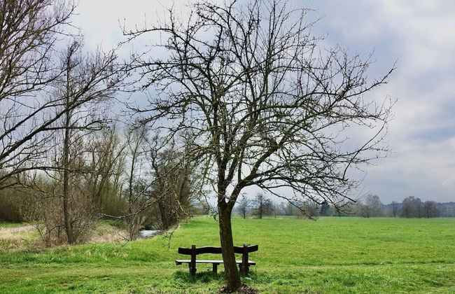 Hansel und Gretel - Foto 18