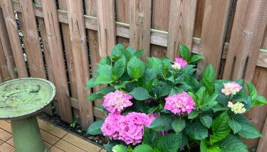 Idyllische Wohnung mit Terrasse und Seezugang - Foto 5