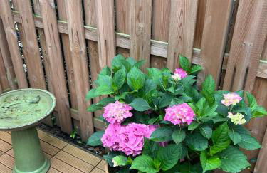 Idyllische Wohnung mit Terrasse und Seezugang - Foto 14