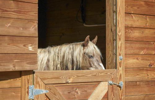 Farm Stay Modern Barndominium in Lakeland! - Foto 21