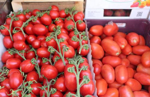 Terrazza Lungomare - Foto 52