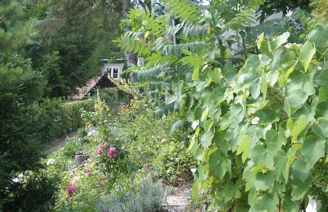 Roomantic Apartments - Photo 47