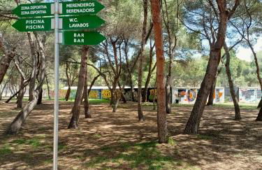 Pine Horizon Family - Photo 23