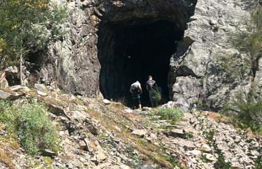 Quinta-lina de serpins - Foto 69