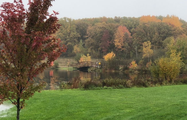 Sunset Pines Resort - Photo 19