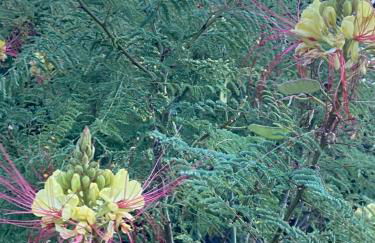 A casa di Rachele - Photo 22