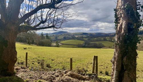 2 Bed in Llanwrtyd Wells 94009 - Foto 2, Other