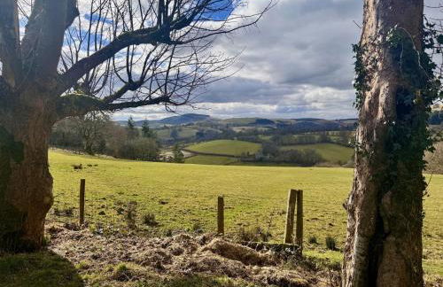 2 Bed in Llanwrtyd Wells 94009 - Foto 2