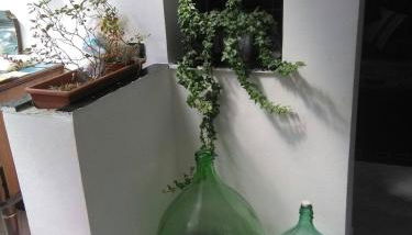 Spacious and naturally bright Bomboniera Rooftop Favors apartment - Foto 3