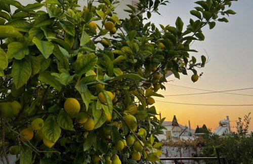 The White House - Aianteio - Foto 52