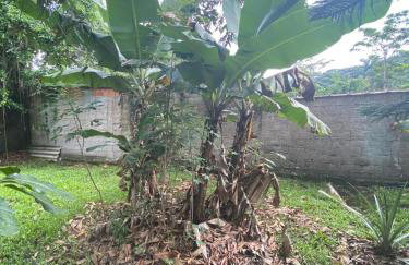 Chácara Gomes - Caiubura - Bertioga - Foto 79