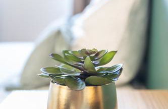 Sweet Aulne - Foto 13