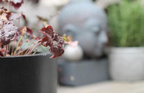 Junior Suite The Backyard TBY 01 - Foto 28