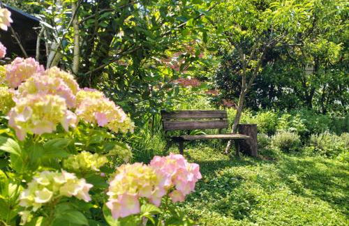 Le Betulle - Foto 11