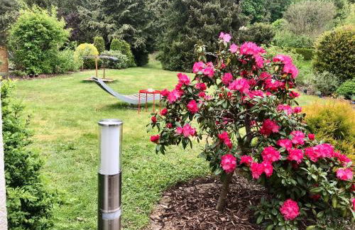 Idas Garten - Foto 33