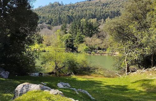 PequeñoCabárceno - Foto 30