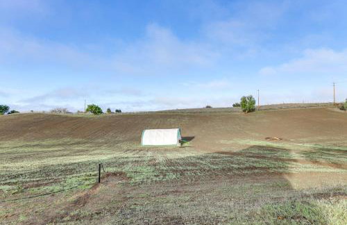 20 Acres in Wine Country! Central California Oasis - Photo 36