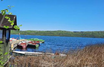 Fewo am Wingertsberg Glees Laacher See - Foto 30