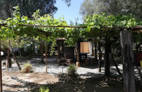 Verde & Mare - Photo 53