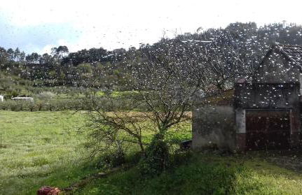 Charming Country House - Foto 33